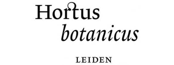hortus botanicus